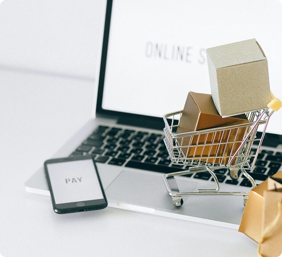 Interfata magazin online cu produse si proces de checkout rapid